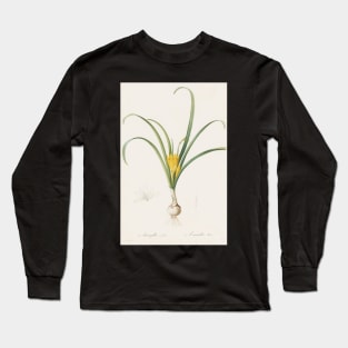 Amaryllis Lutea by Pierre-Joseph Redoute Long Sleeve T-Shirt